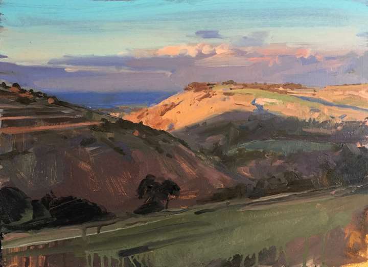 Last light, South Downs